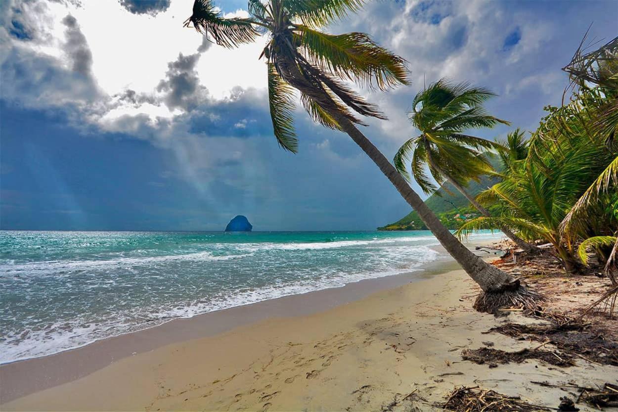 Malilia Beach A Sainte-Anne - Wifi -5 Min A Pied De La Plage Экстерьер фото